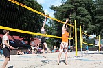 Das aktuelle Top-Bild der VMV-Bildergalerie!