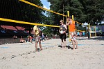 Das aktuelle Top-Bild der VMV-Bildergalerie!