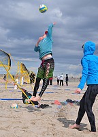 Das aktuelle Top-Bild der VMV-Bildergalerie!