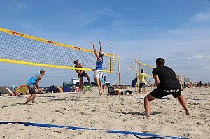 Das aktuelle Top-Bild der VMV-Bildergalerie!