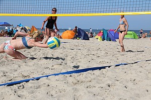 Das aktuelle Top-Bild der VMV-Bildergalerie!