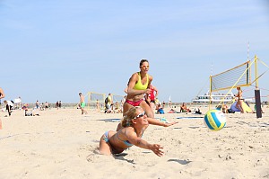 Das aktuelle Top-Bild der VMV-Bildergalerie!