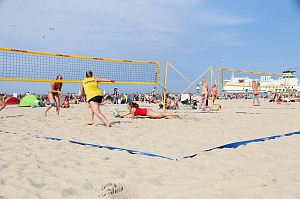 Das aktuelle Top-Bild der VMV-Bildergalerie!