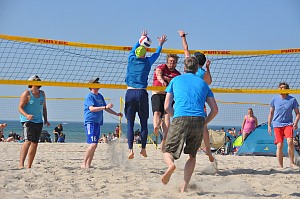 Das aktuelle Top-Bild der VMV-Bildergalerie!