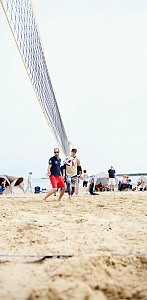 Das aktuelle Top-Bild der VMV-Bildergalerie!