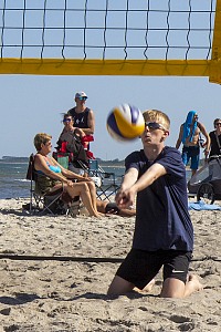 Das aktuelle Top-Bild der VMV-Bildergalerie!