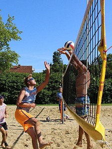 Das aktuelle Top-Bild der VMV-Bildergalerie!