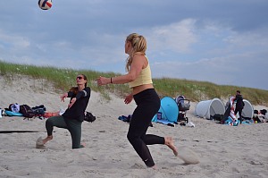 Das aktuelle Top-Bild der VMV-Bildergalerie!