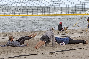 Das aktuelle Top-Bild der VMV-Bildergalerie!