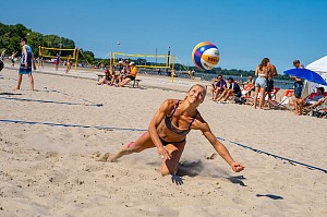 Das aktuelle Top-Bild der VMV-Bildergalerie!