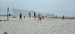 Das aktuelle Top-Bild der VMV-Bildergalerie!