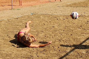 Das aktuelle Top-Bild der VMV-Bildergalerie!