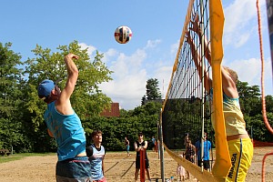Das aktuelle Top-Bild der VMV-Bildergalerie!