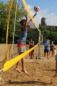 Das aktuelle Top-Bild der VMV-Bildergalerie!