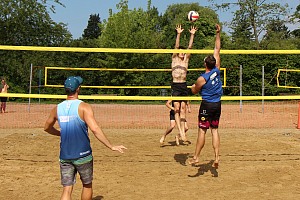 Das aktuelle Top-Bild der VMV-Bildergalerie!