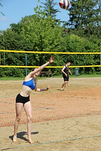Das aktuelle Top-Bild der VMV-Bildergalerie!