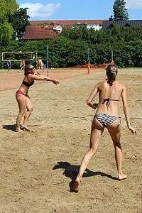 Das aktuelle Top-Bild der VMV-Bildergalerie!