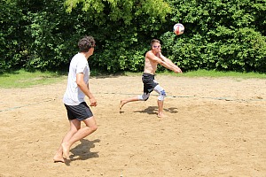 Das aktuelle Top-Bild der VMV-Bildergalerie!