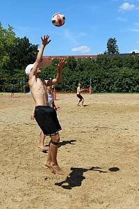 Das aktuelle Top-Bild der VMV-Bildergalerie!