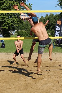 Das aktuelle Top-Bild der VMV-Bildergalerie!