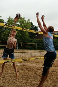 Das aktuelle Top-Bild der VMV-Bildergalerie!