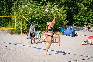 Das aktuelle Top-Bild der VMV-Bildergalerie!