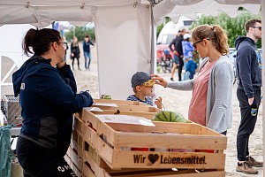 Das aktuelle Top-Bild der VMV-Bildergalerie!