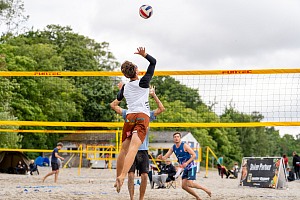 Das aktuelle Top-Bild der VMV-Bildergalerie!