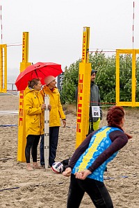 Das aktuelle Top-Bild der VMV-Bildergalerie!