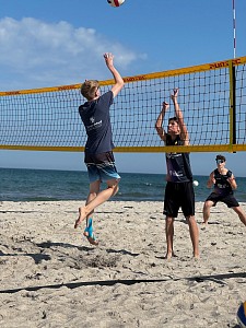 Das aktuelle Top-Bild der VMV-Bildergalerie!