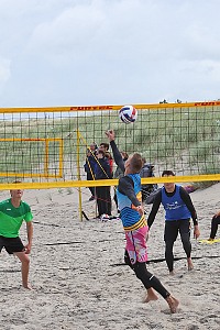 Das aktuelle Top-Bild der VMV-Bildergalerie!