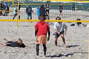 Das aktuelle Top-Bild der VMV-Bildergalerie!