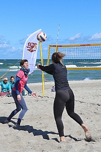 Das aktuelle Top-Bild der VMV-Bildergalerie!