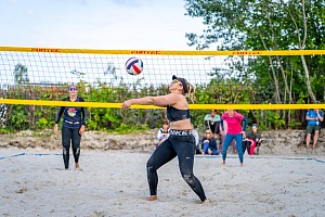 Das aktuelle Top-Bild der VMV-Bildergalerie!