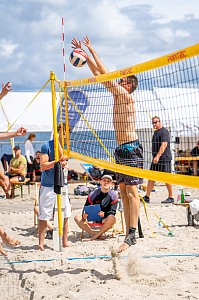 Das aktuelle Top-Bild der VMV-Bildergalerie!