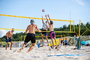 Das aktuelle Top-Bild der VMV-Bildergalerie!