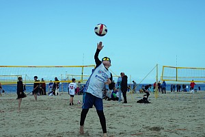Das aktuelle Top-Bild der VMV-Bildergalerie!