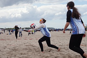 Das aktuelle Top-Bild der VMV-Bildergalerie!