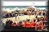 Finale der Damen - unter groem Zuschauerzuspruch
Gre: 600 x 398, 63102 Byte
Urheber: active beach e.V.