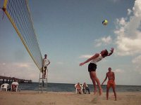 Henne beim Versuch, sich die Wirbelsule zu brechen
Gre: 640 x 480, 52412 Byte
Urheber: active beach e.V.
