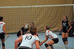 
Gre: 600 x 401, 83075 Byte
Urheber: Olaf Wegerich