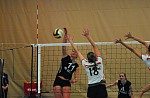 
Gre: 600 x 395, 72815 Byte
Urheber: Olaf Wegerich