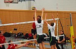 
Gre: 600 x 390, 86659 Byte
Urheber: Olaf Wegerich