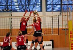 
Gre: 600 x 417, 99186 Byte
Urheber: Olaf Wegerich