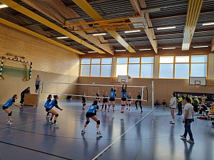 Das aktuelle Top-Bild der VMV-Bildergalerie!