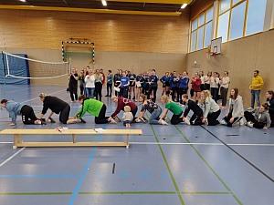 Das aktuelle Top-Bild der VMV-Bildergalerie!