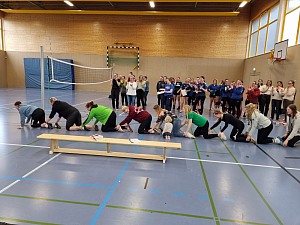 Das aktuelle Top-Bild der VMV-Bildergalerie!