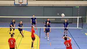 Das aktuelle Top-Bild der VMV-Bildergalerie!