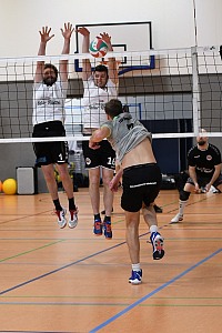 Das aktuelle Top-Bild der VMV-Bildergalerie!