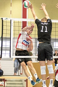 Das aktuelle Top-Bild der VMV-Bildergalerie!